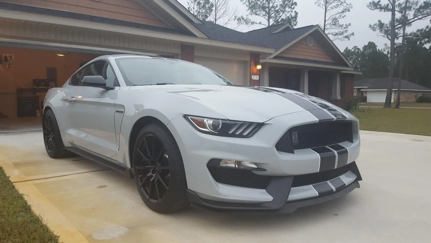 Shelby1.webp