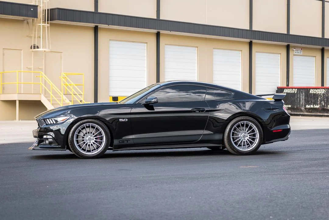MustangQuickShoot-9.webp