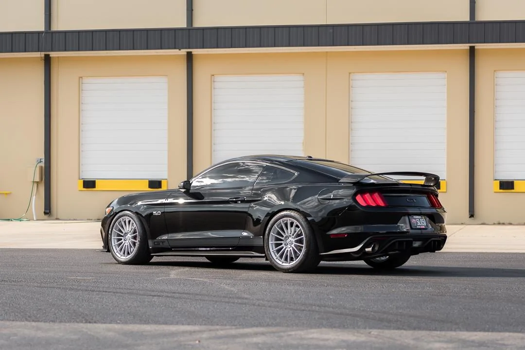 MustangQuickShoot-7.webp