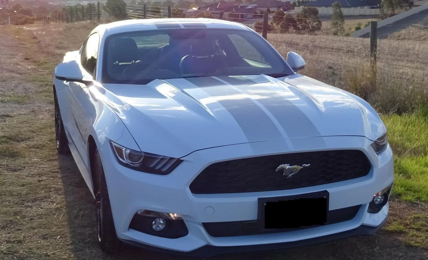 My Mustang.webp