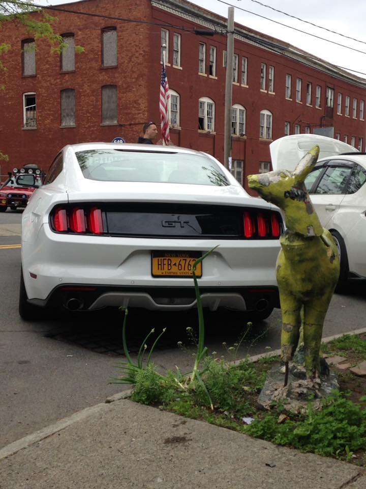 Mustang_c.jpg