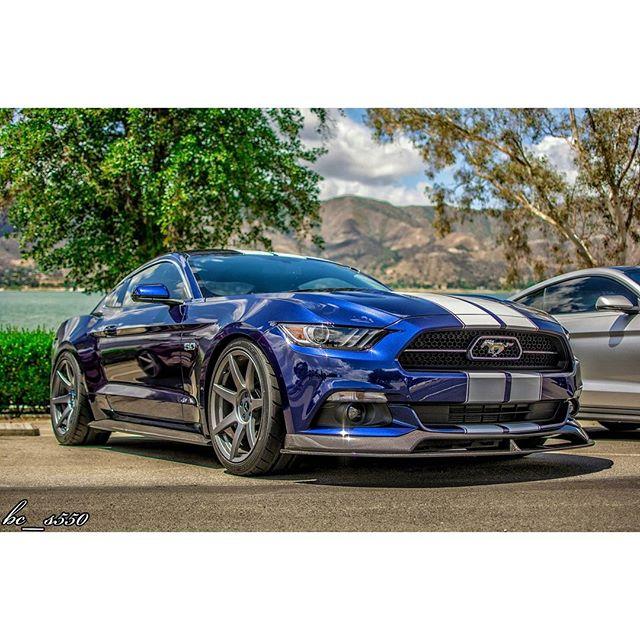 Mustang.jpg