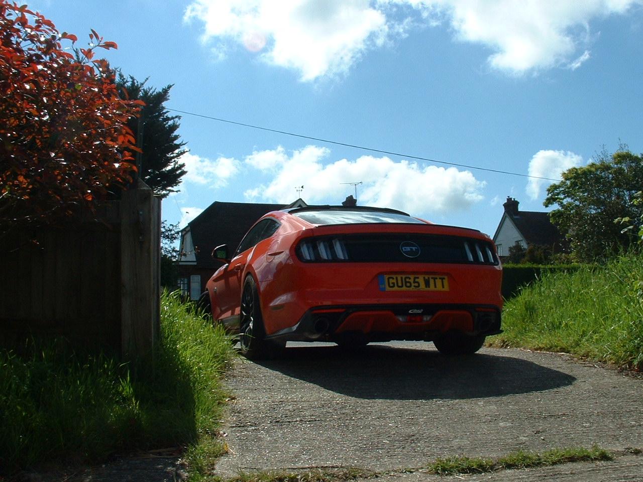 DSCF0007.JPG