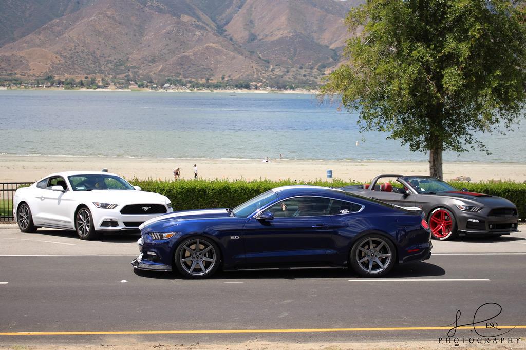 Side Shot.jpg