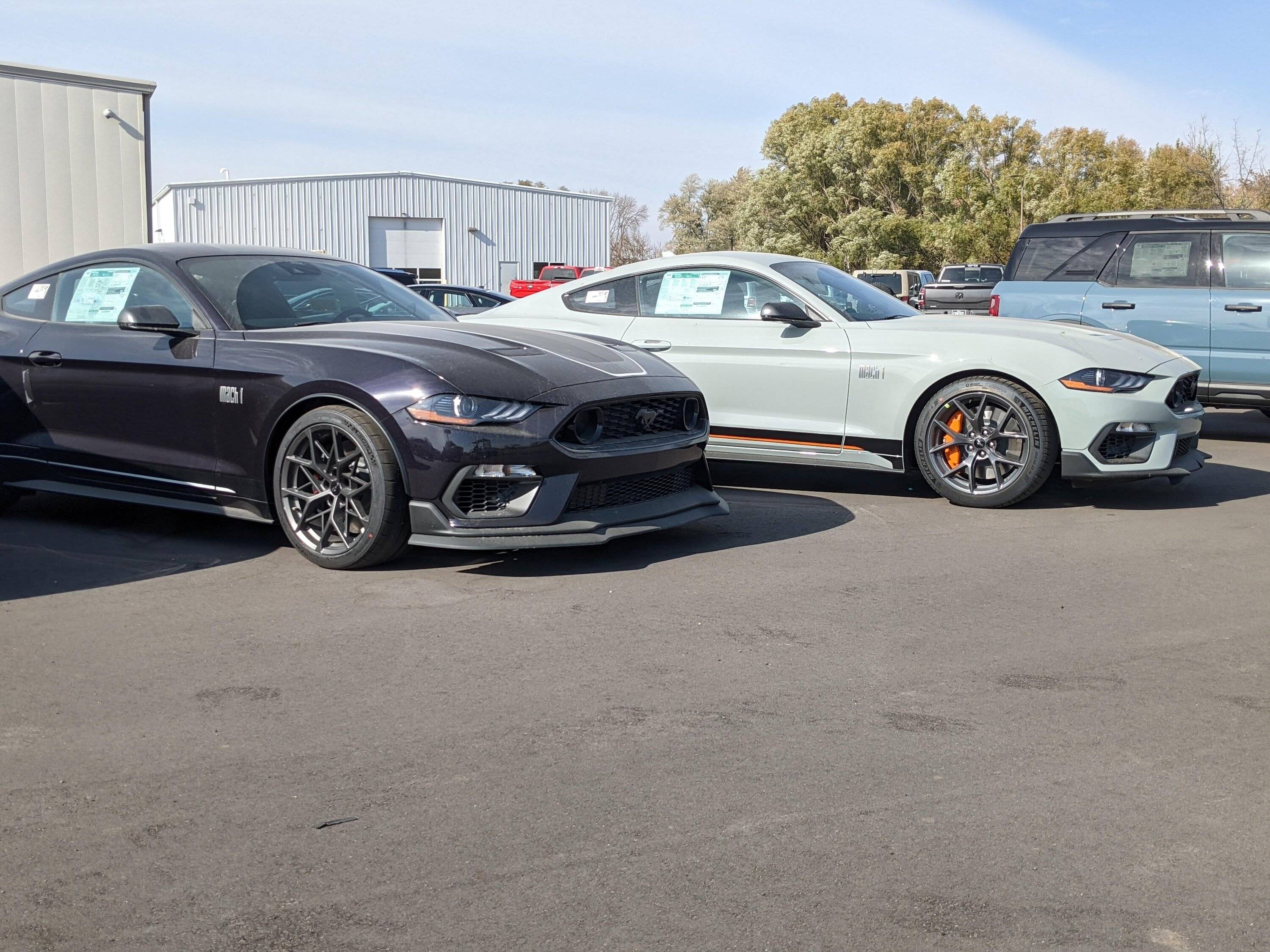 mustang.jpg