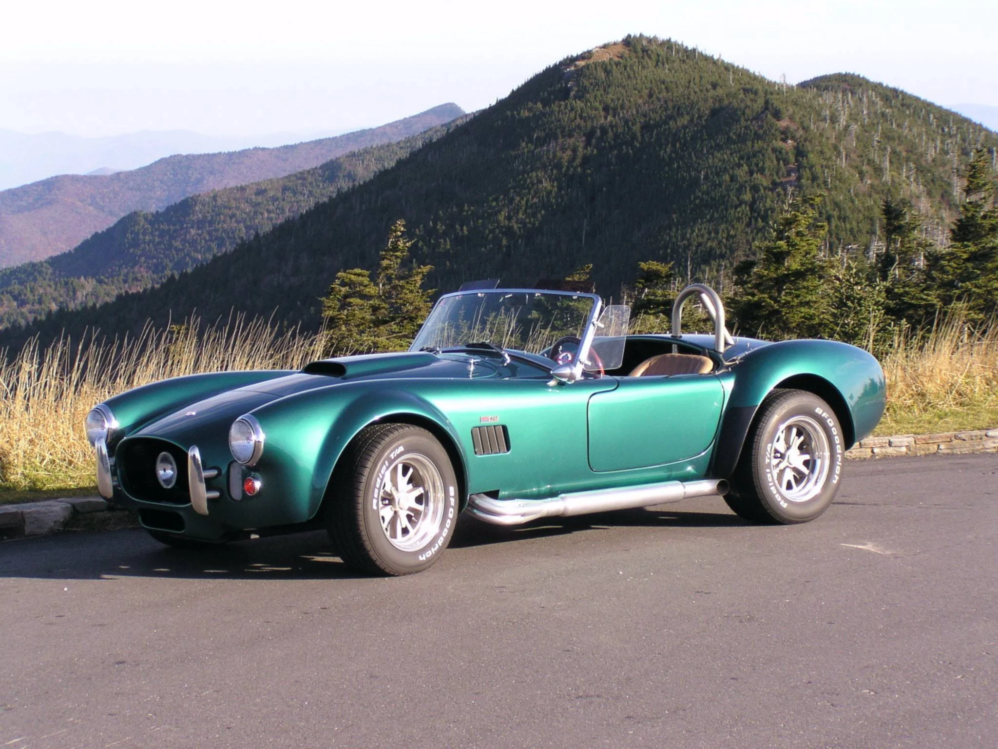 Cobra On Top-4.webp