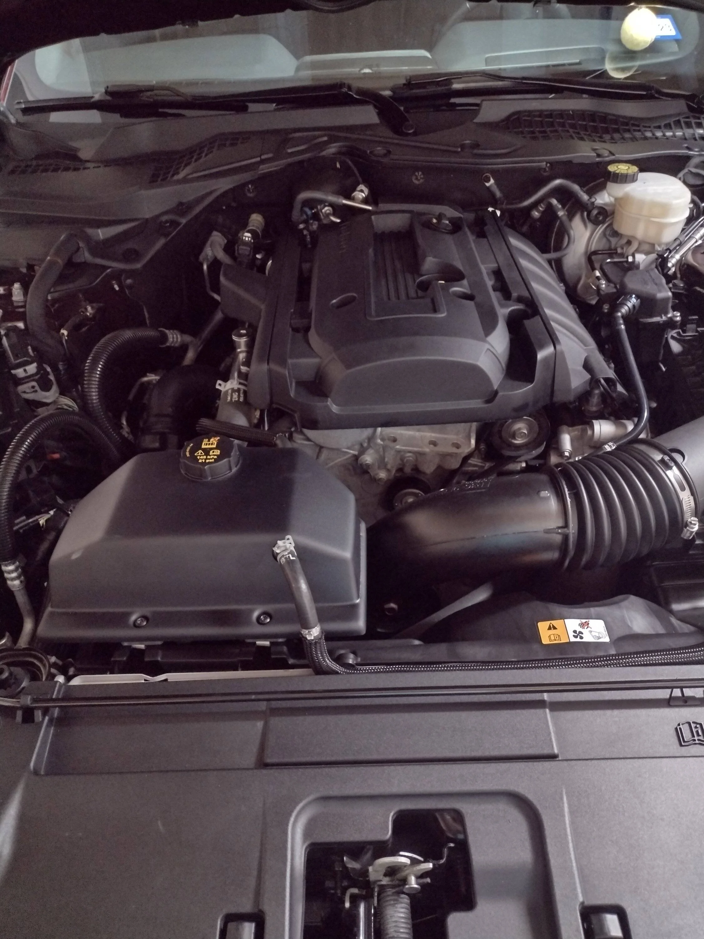 IMG_20221023_073519446_HDR.webp