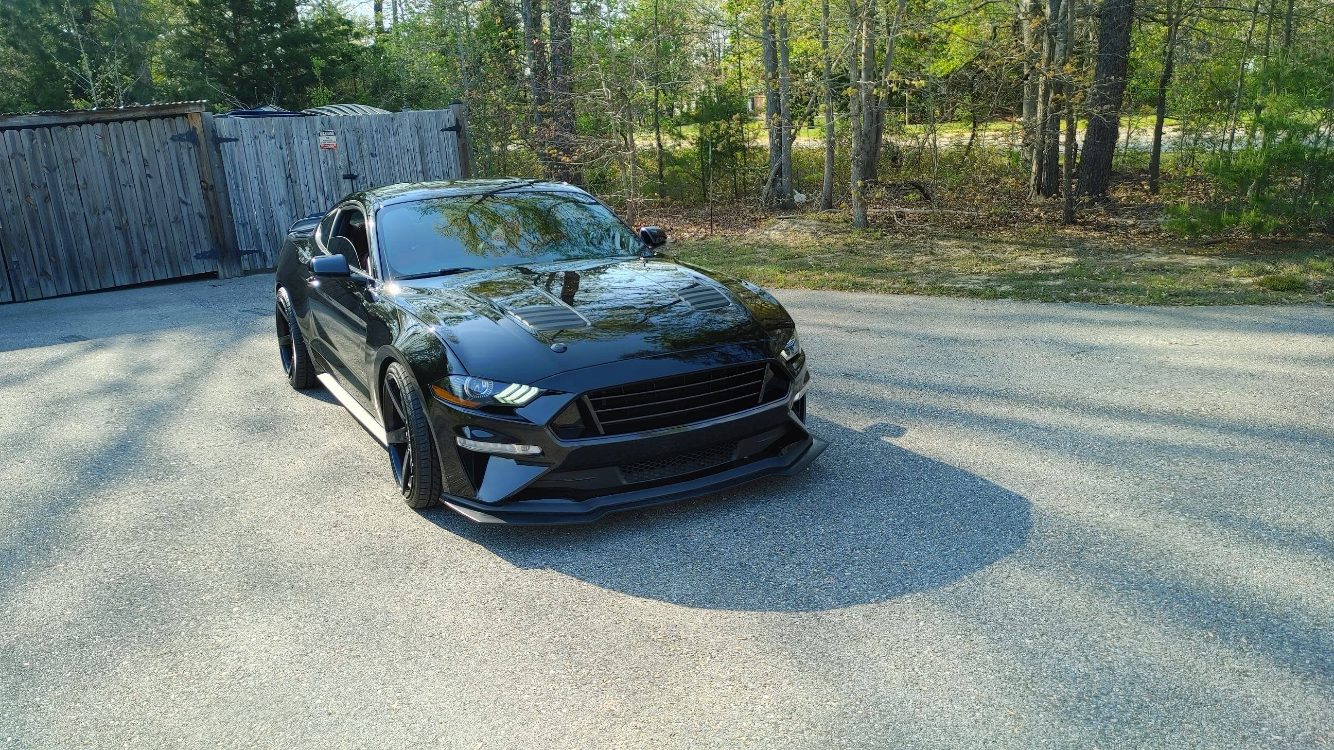 STANG2.jpg
