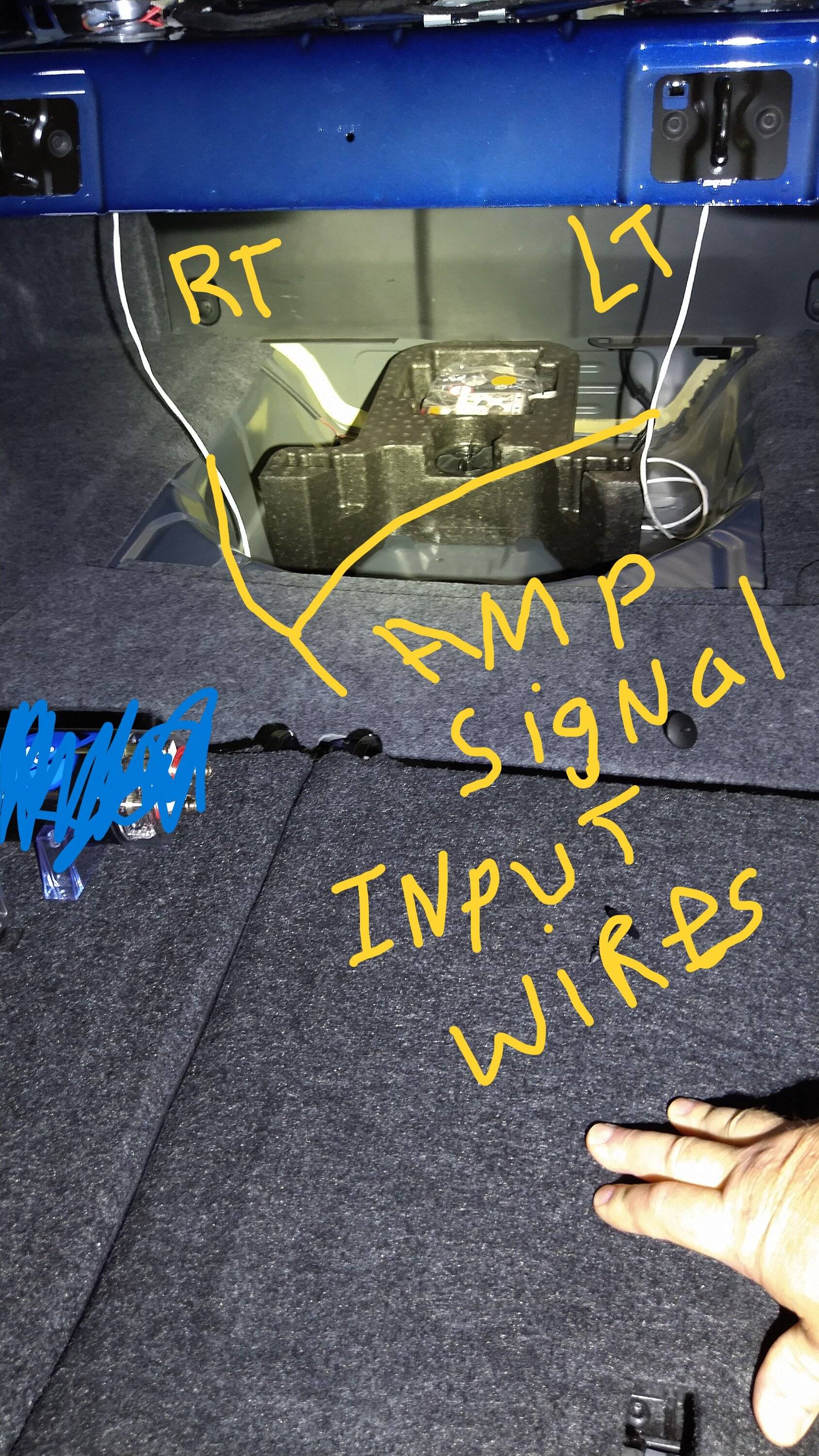 Rear Speaker Bass Signal Input Wires.jpg