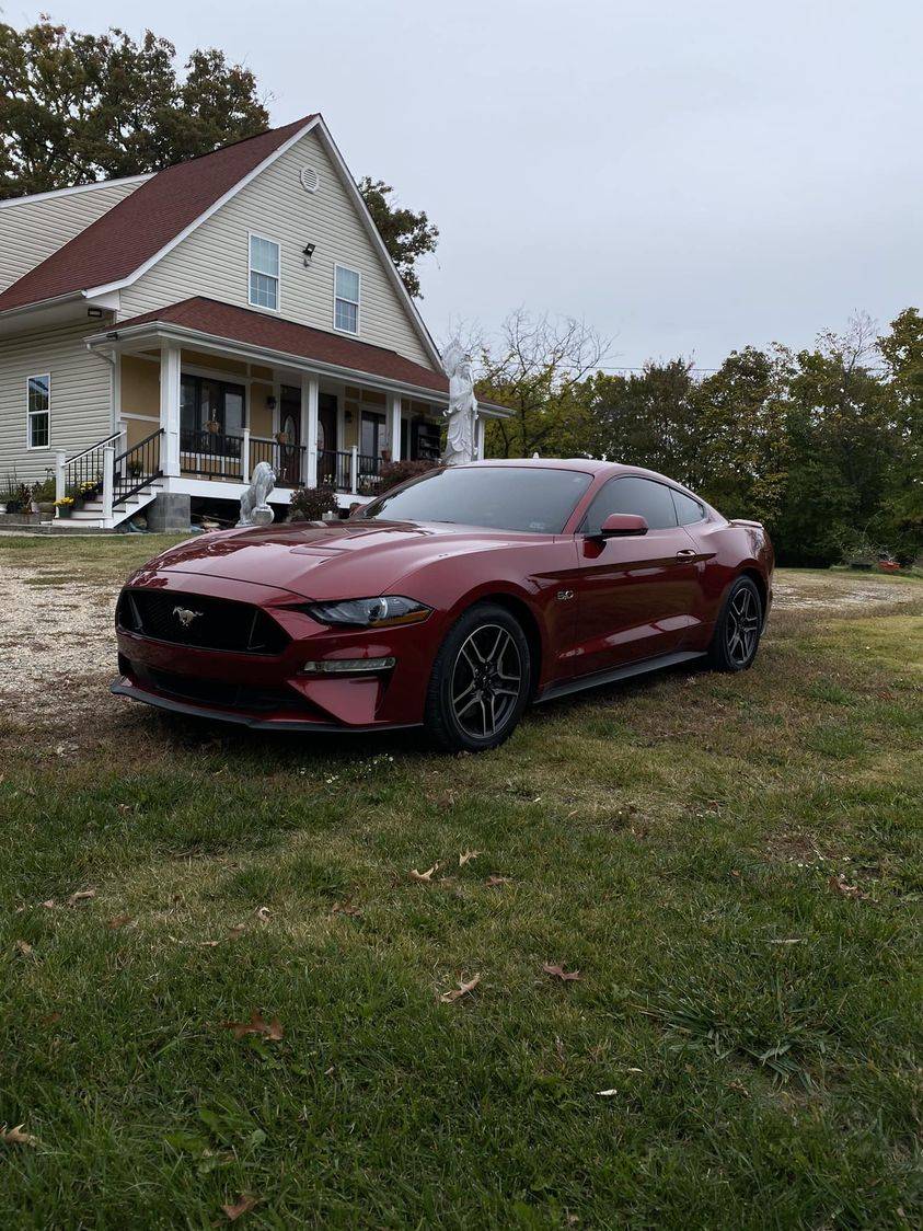 Mustang.jpg