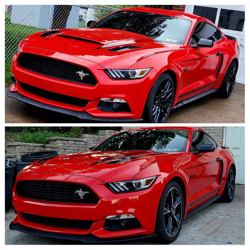 IMG_20221016_105103-COLLAGE.jpg