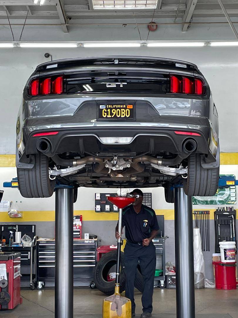 RearPypes.jpg