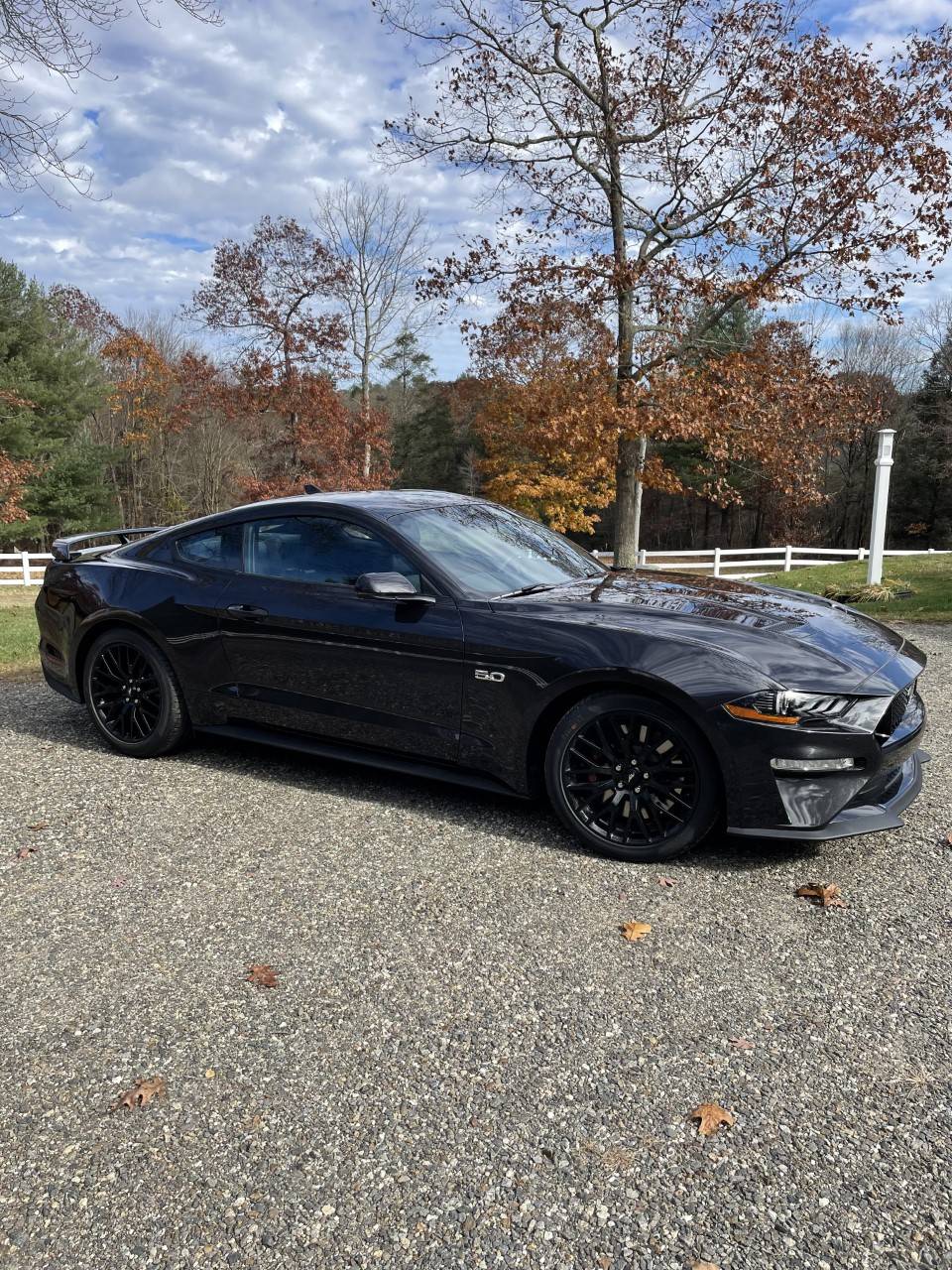 mustang2.jpg