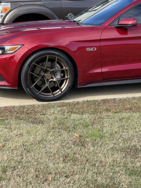 IMG_1815 Medium.jpeg