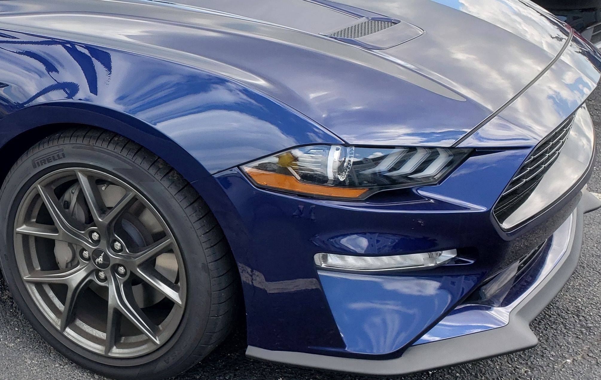 2020 mustangCROP.jpg