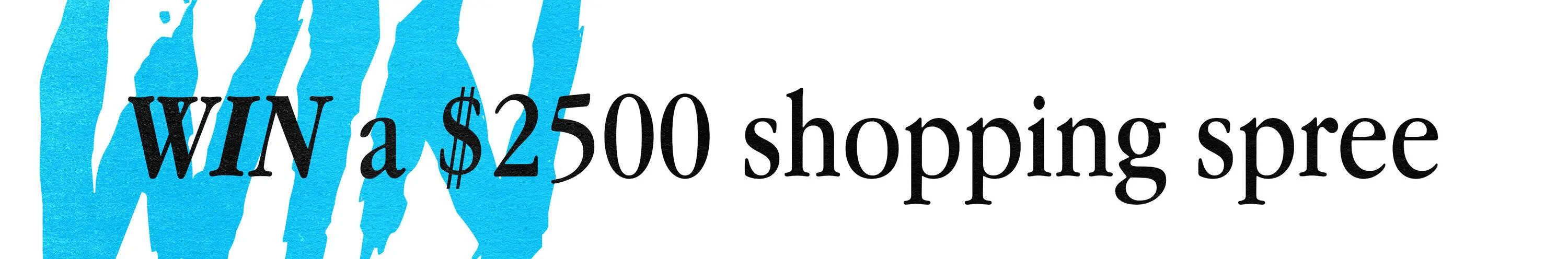 blog_spree.webp