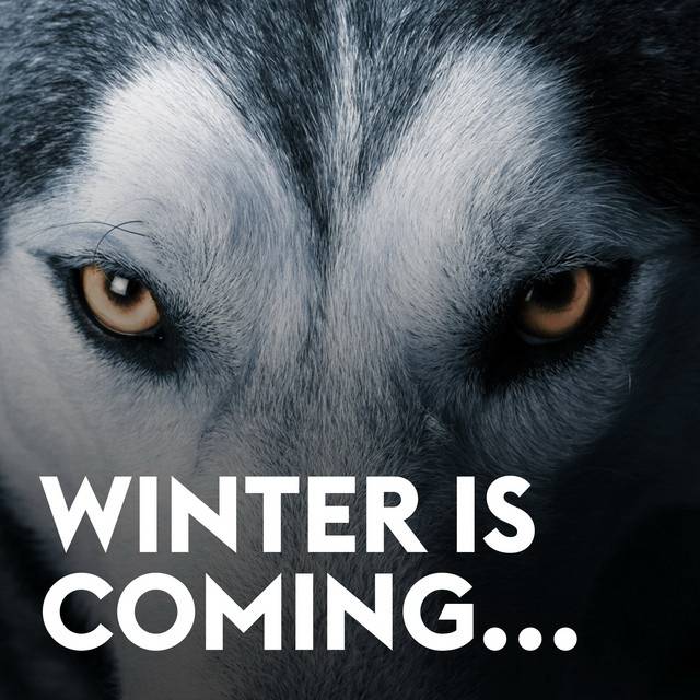 winter.jpg