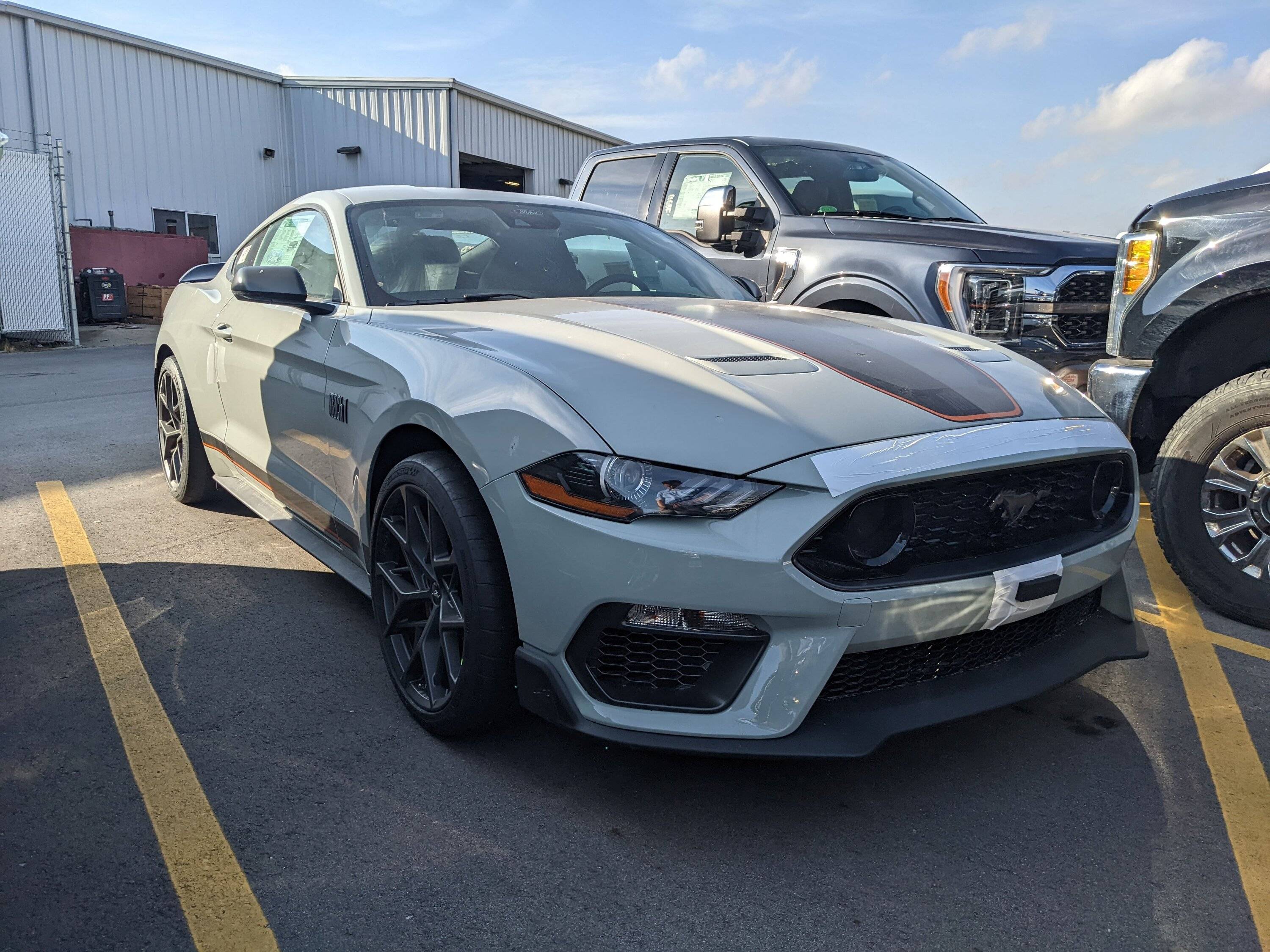 Mach 1 Mustang.jpg