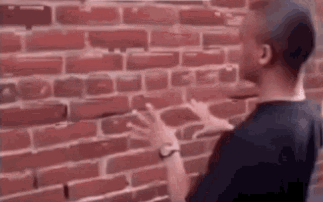1668450338324.gif