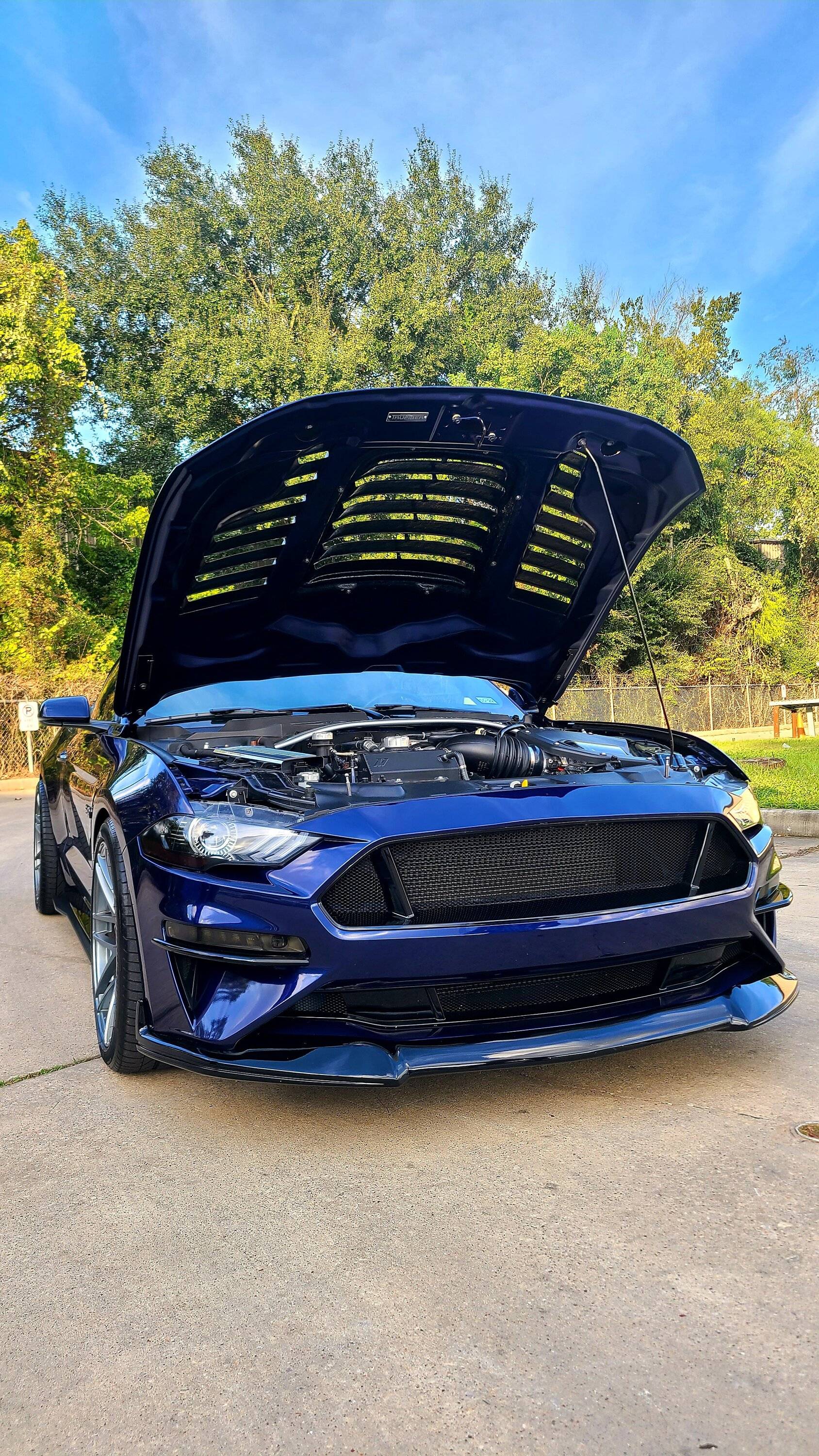 Blu Trufiber hood (5).jpg