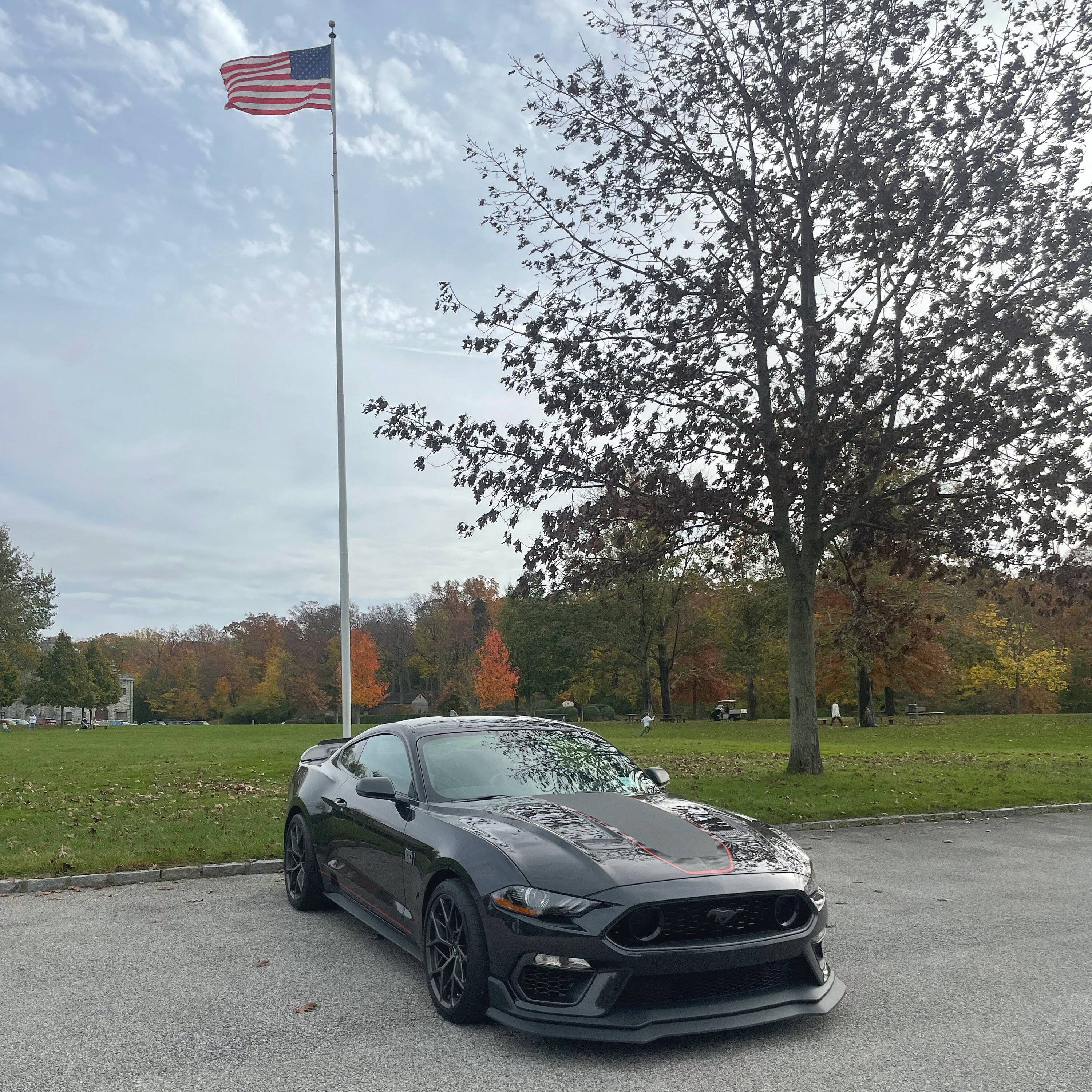 B62AA465-9652-43F0-81E7-C9742357B85F.jpeg