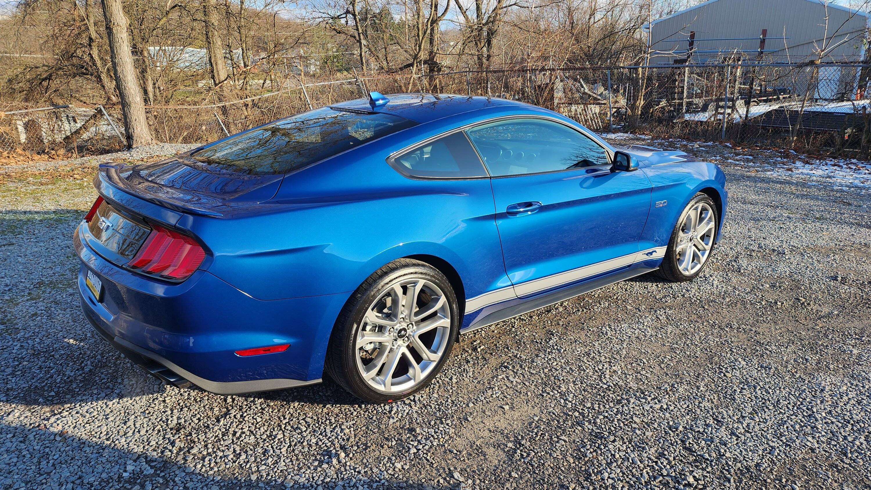 eric-mustang-forum-mustang-pinstripe-rocker-stripes.jpg
