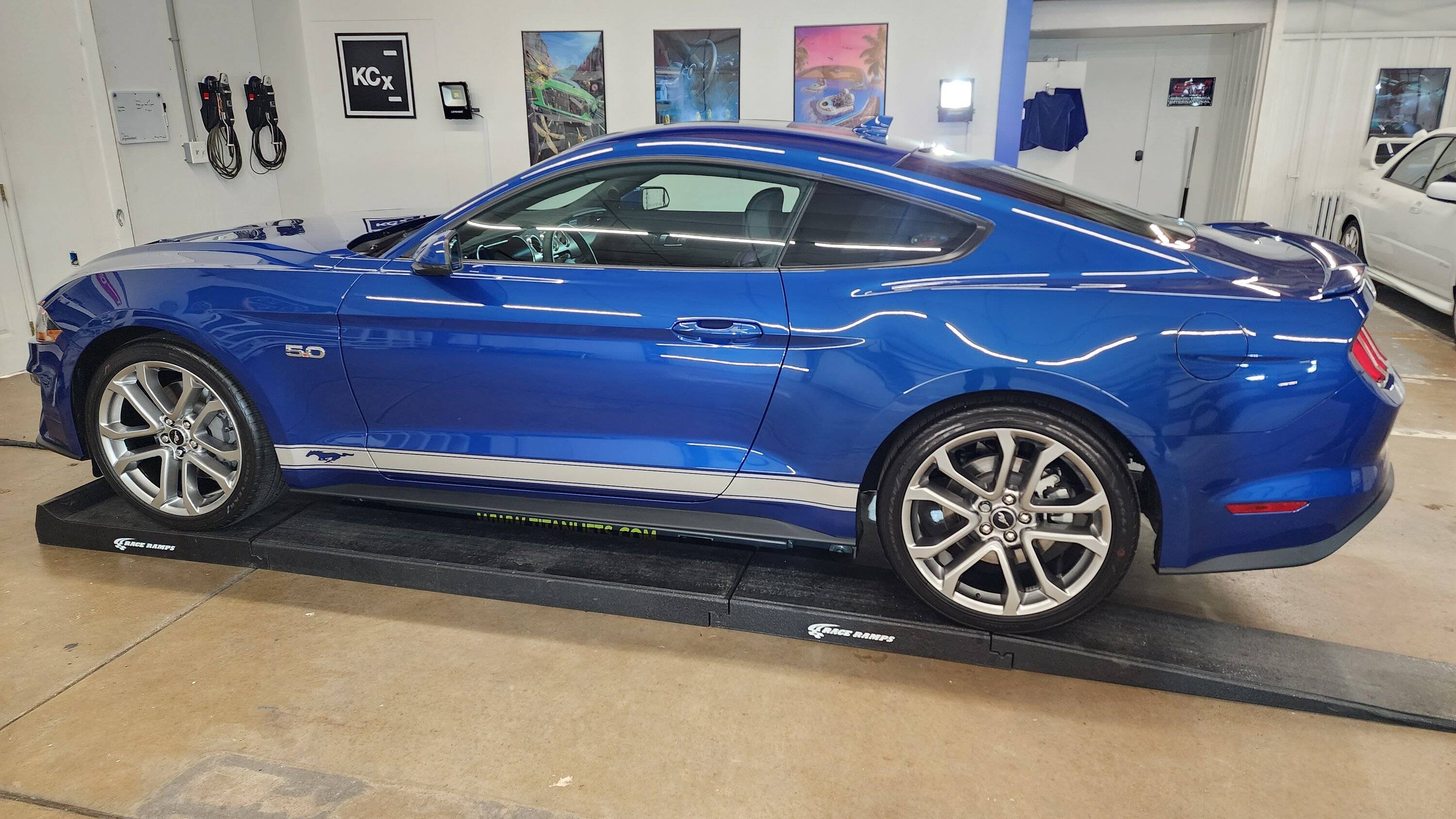 eric-mustang-forum-mustang-pinstripe-rocker-stripes-1.jpg