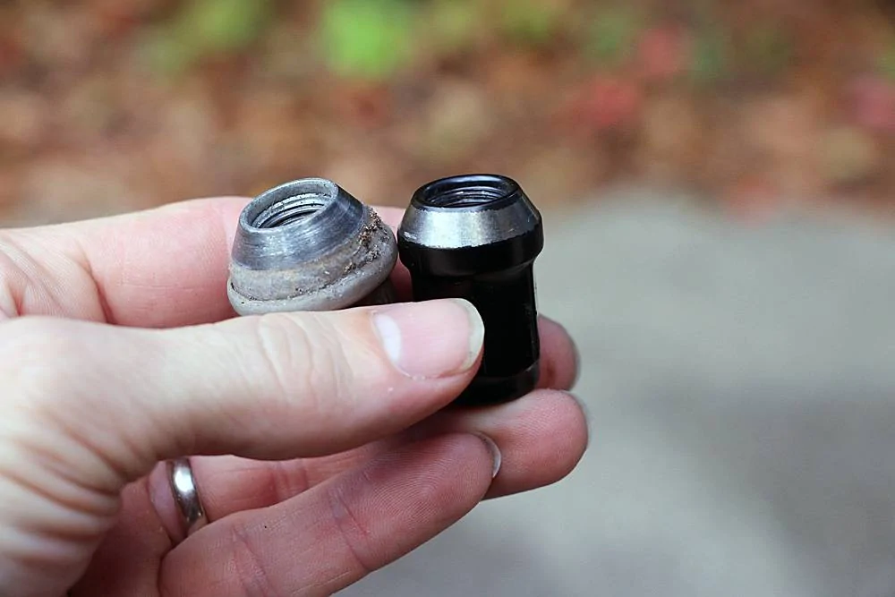 lugs2.webp