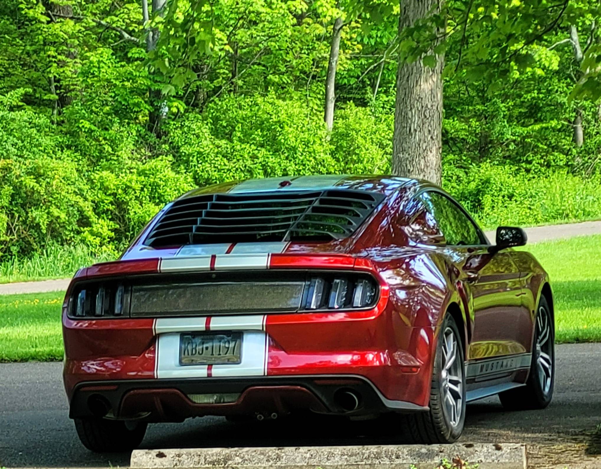 20220529_171303.jpg