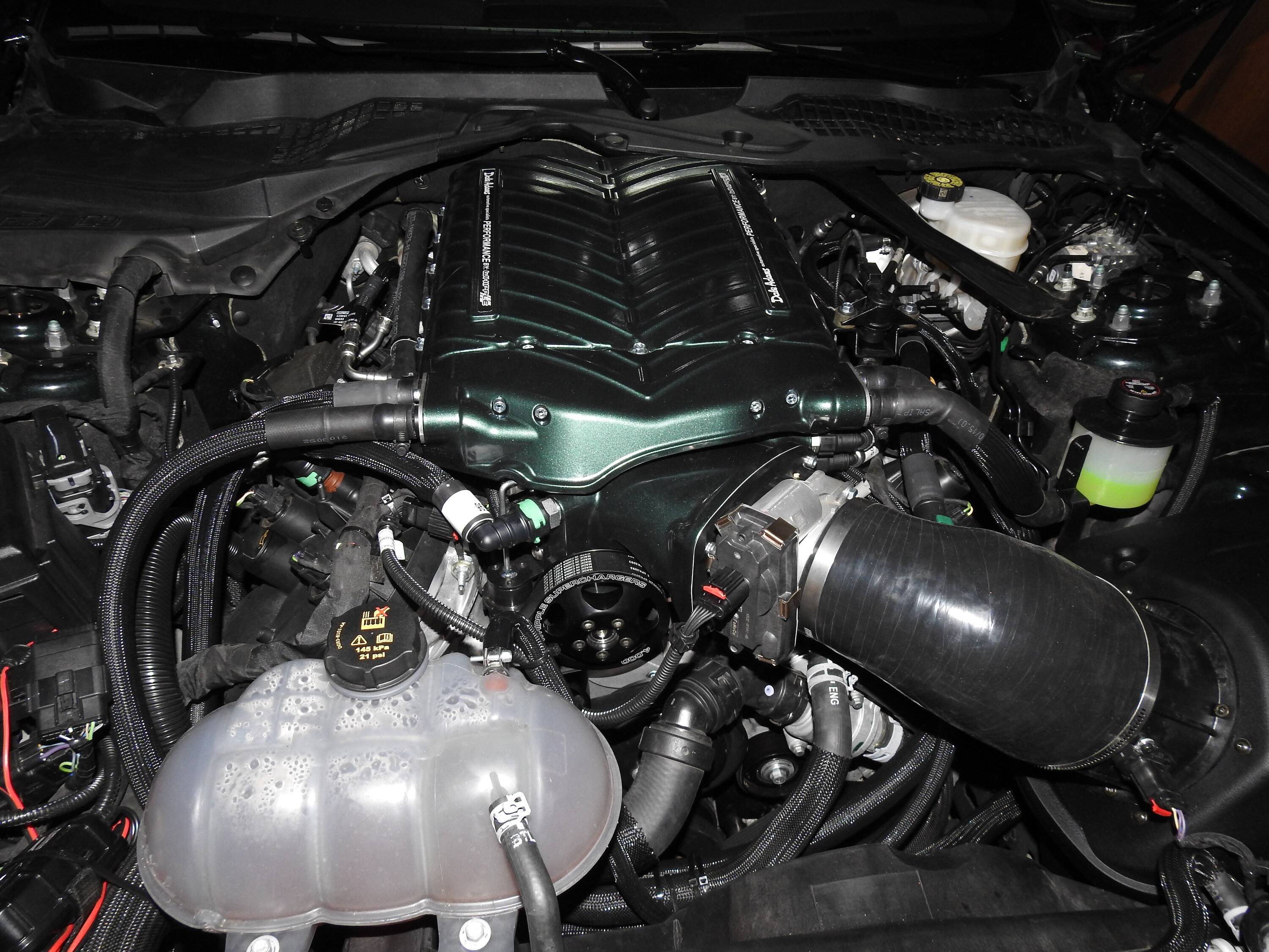 Whipple1.JPG