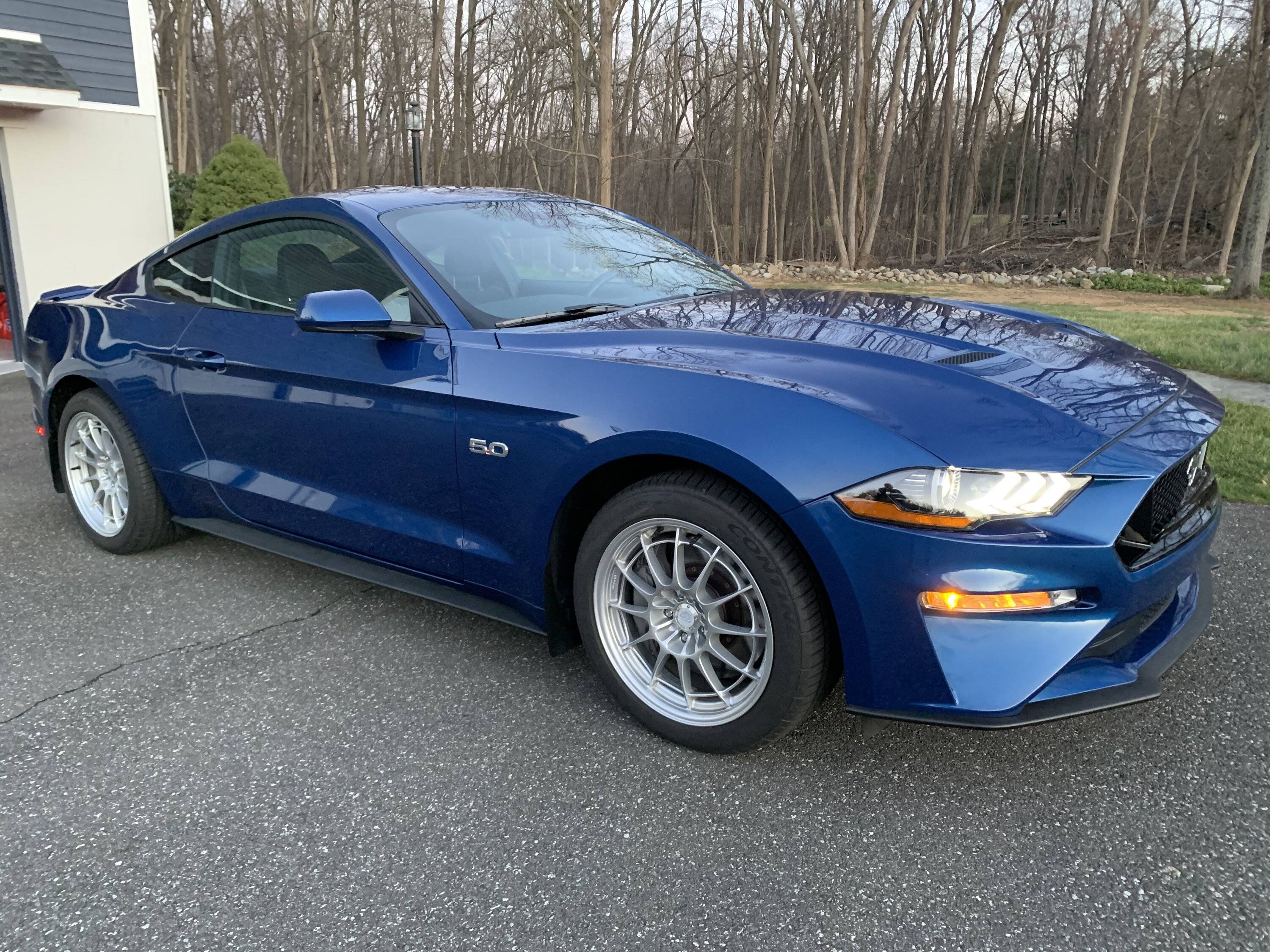 Mustang2022_Front_nov27_2022.jpg
