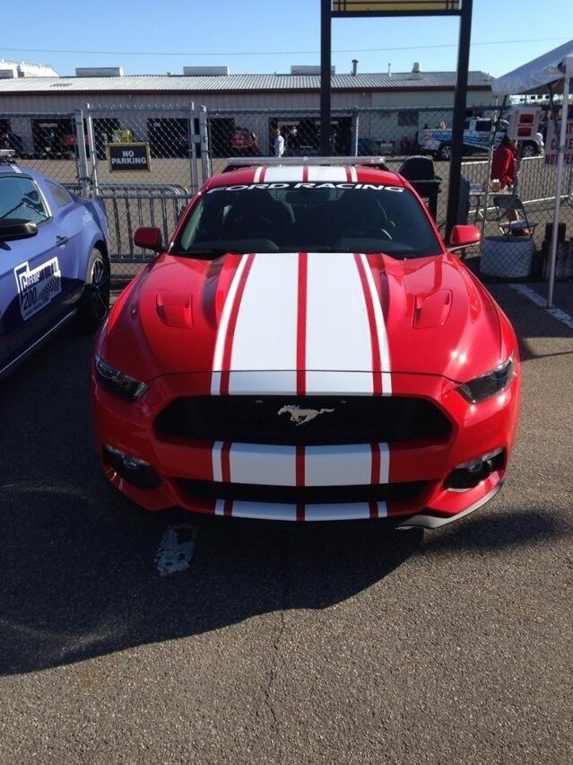 stripe.jpg