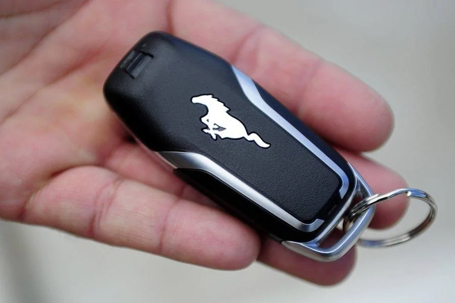CP_MUSTANG024_7264269_ver1.0_900_675.webp