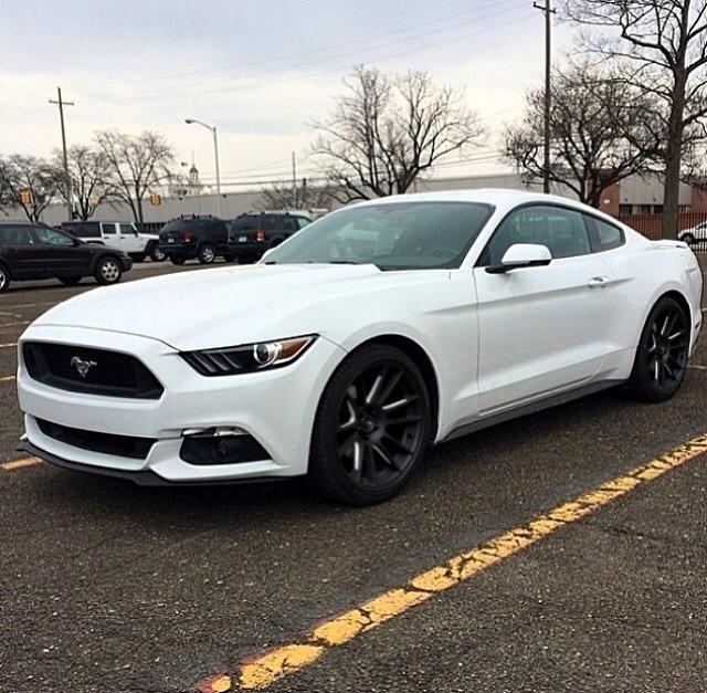 white stang.jpg
