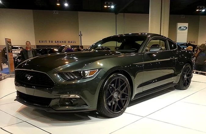 GUARD_MUSTANG_FF01_IPA.webp
