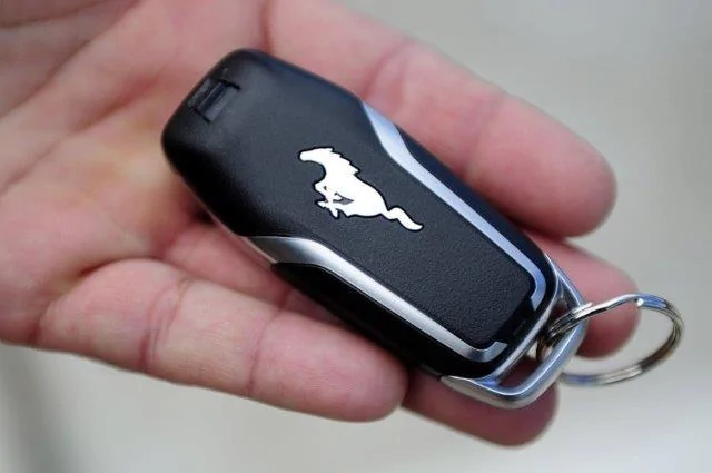 CP_MUSTANG024_7264269_ver1_0_900_675.webp