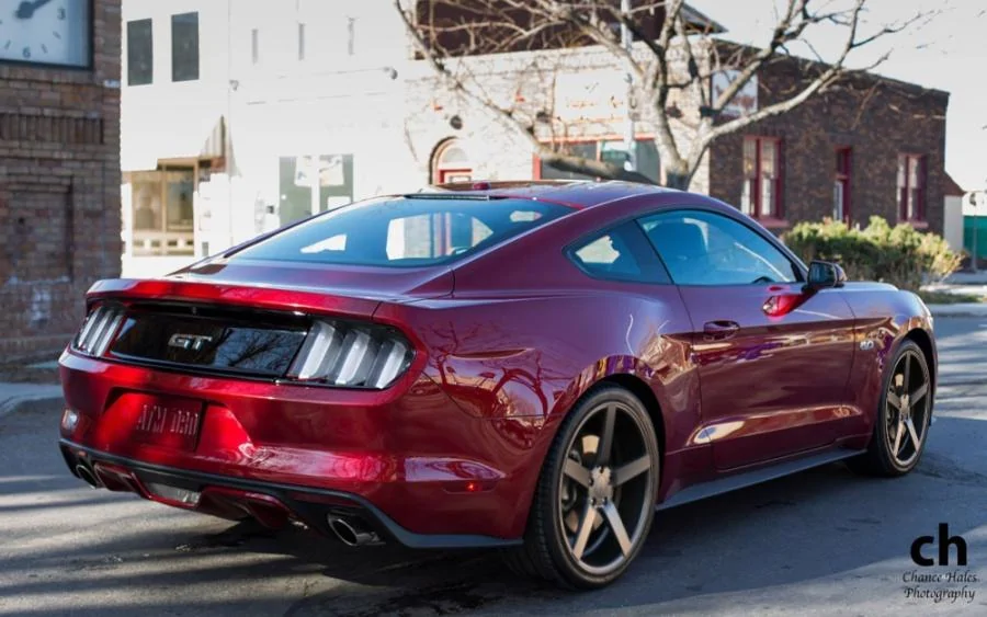vossen cv3.webp