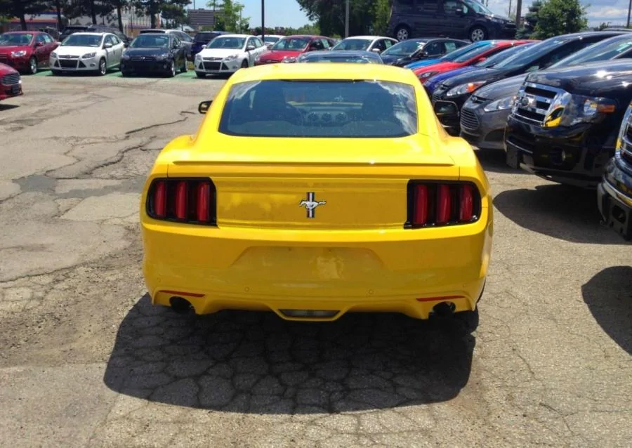 yellow ass.webp