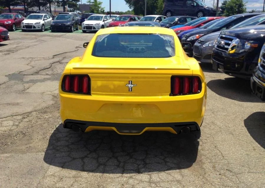 yellow ass1.webp