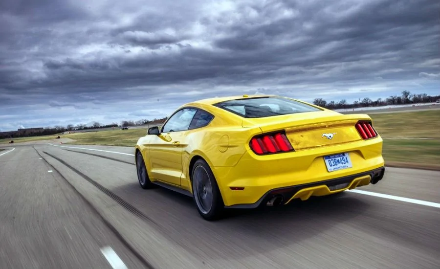 yellowass.webp