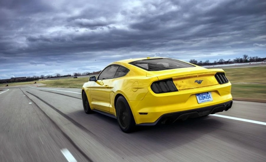 yellowassvvvvv.webp