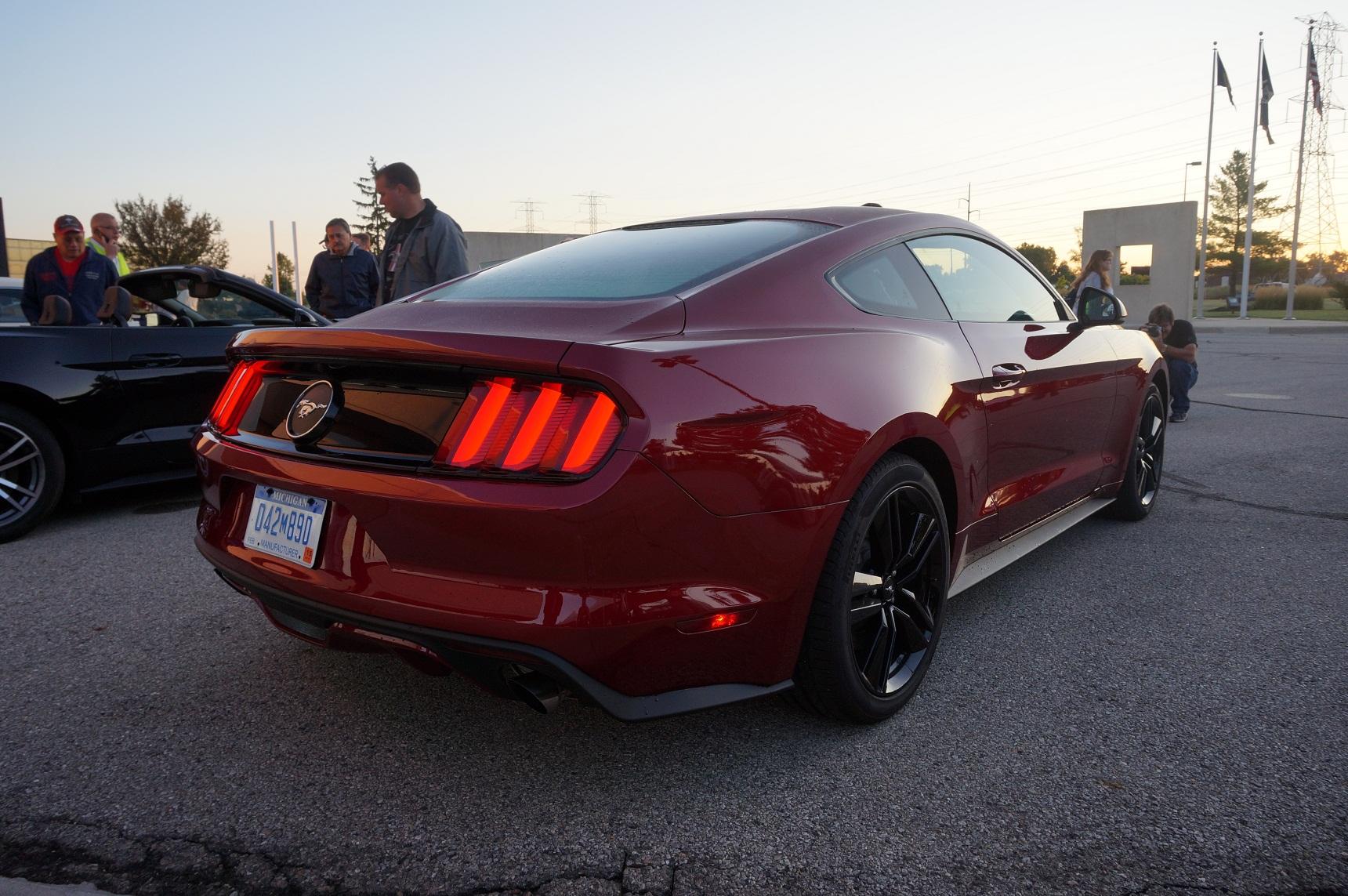 DSC00740[1].jpg