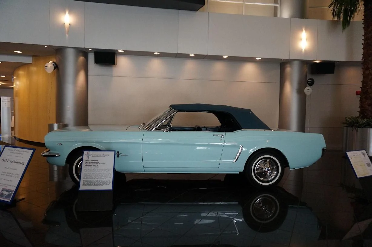 DSC00872_resize25.webp