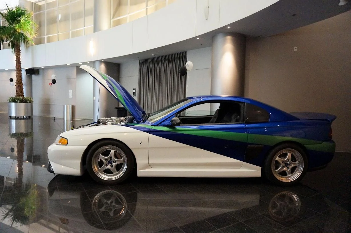 DSC00873_resize25.webp