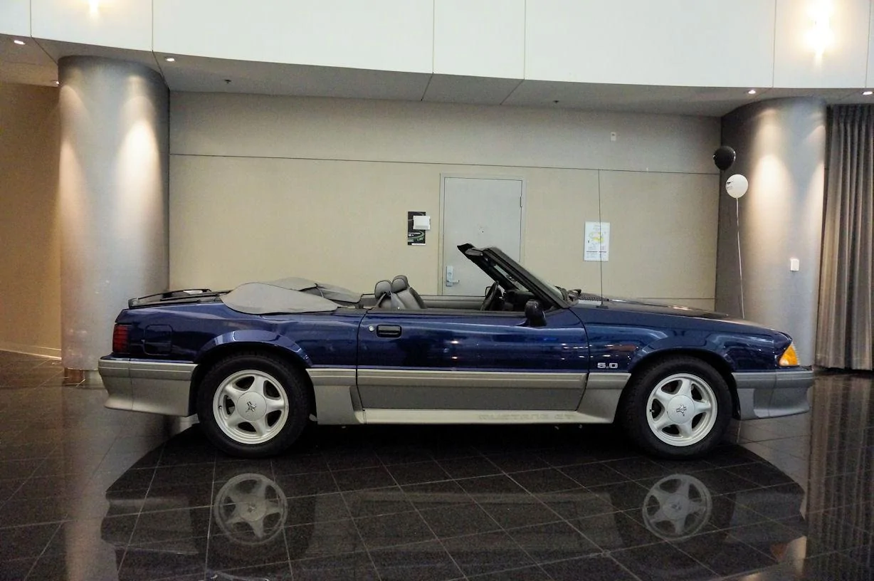 DSC00874_resize25.webp