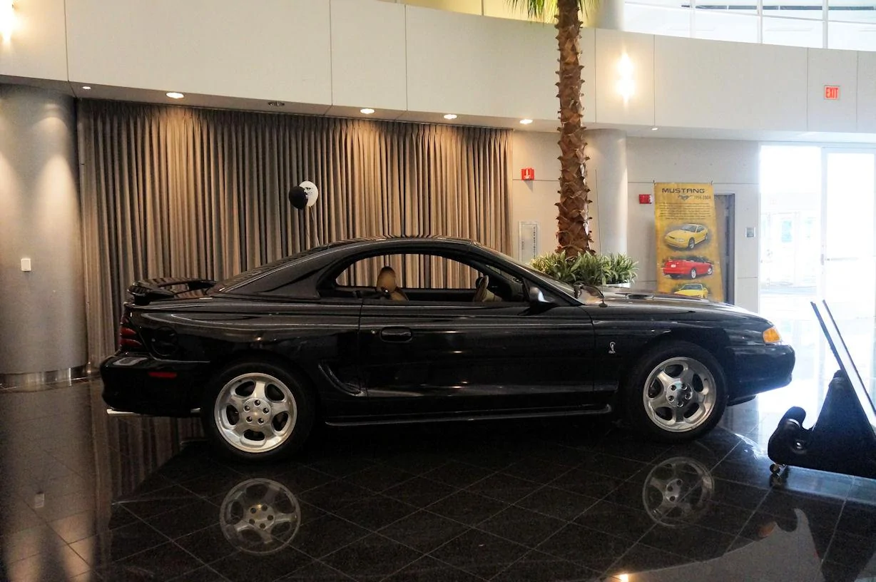 DSC00875_resize25.webp