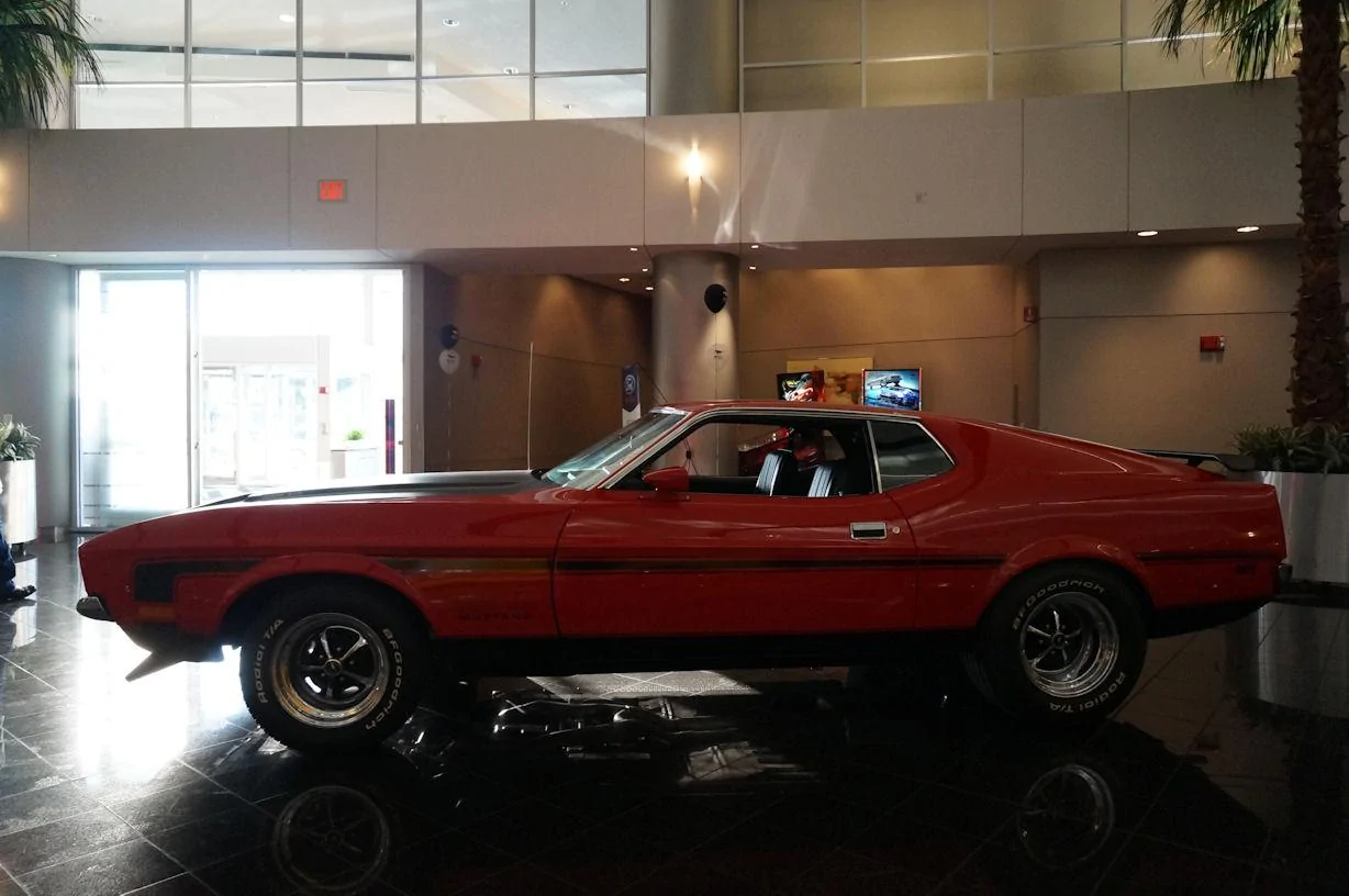 DSC00878_resize25.webp