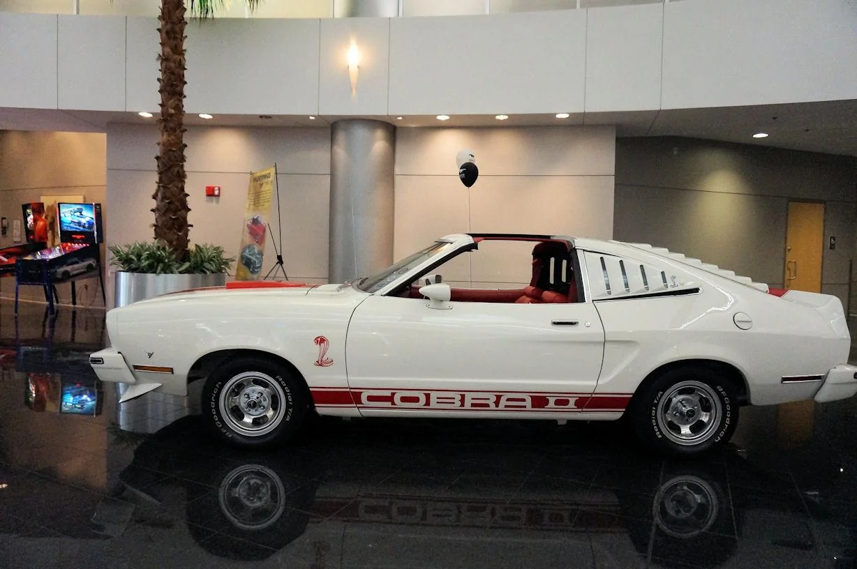 DSC00879_resize25.webp