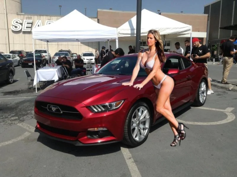 2015 stang chick.webp