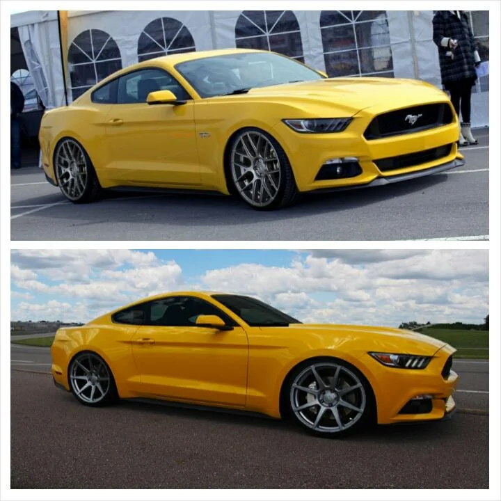 PhotoGrid_1408641979352.webp